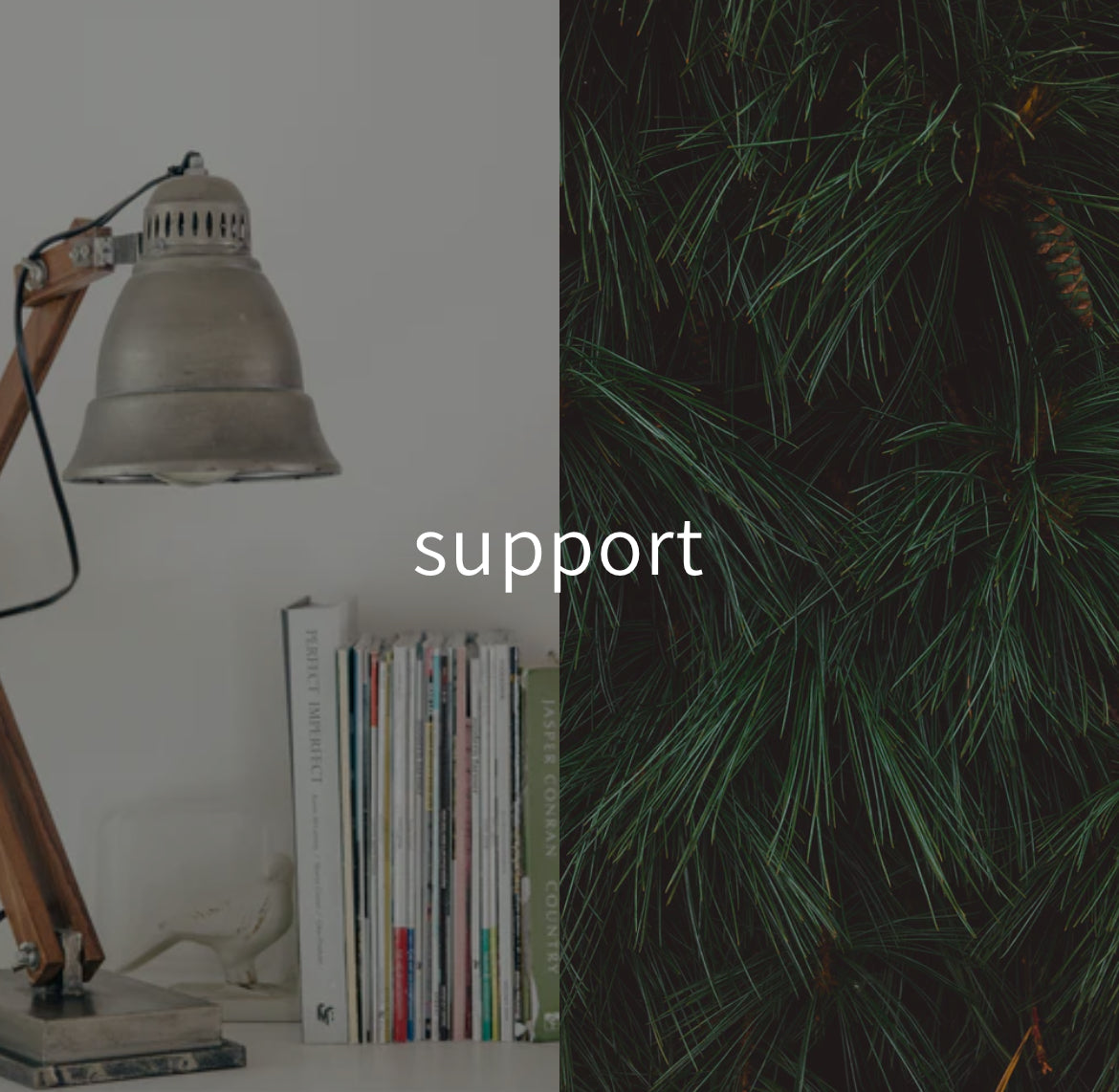 support - basic website setup
